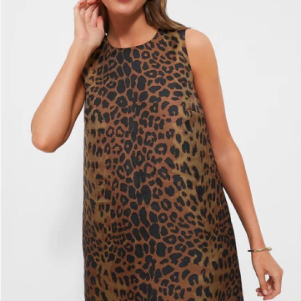 Tuckernuck Leopard Print Mini Dress
